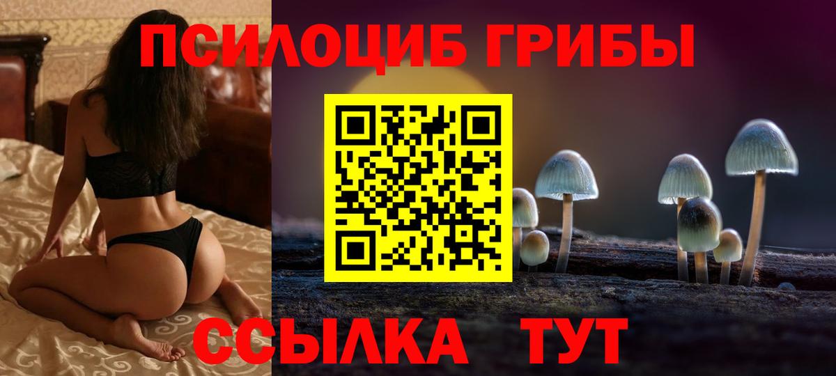 Псилоцибиновые грибы мицелий  Галлюциногенные грибы Psilocybe  Вход с VPN  Богородск 